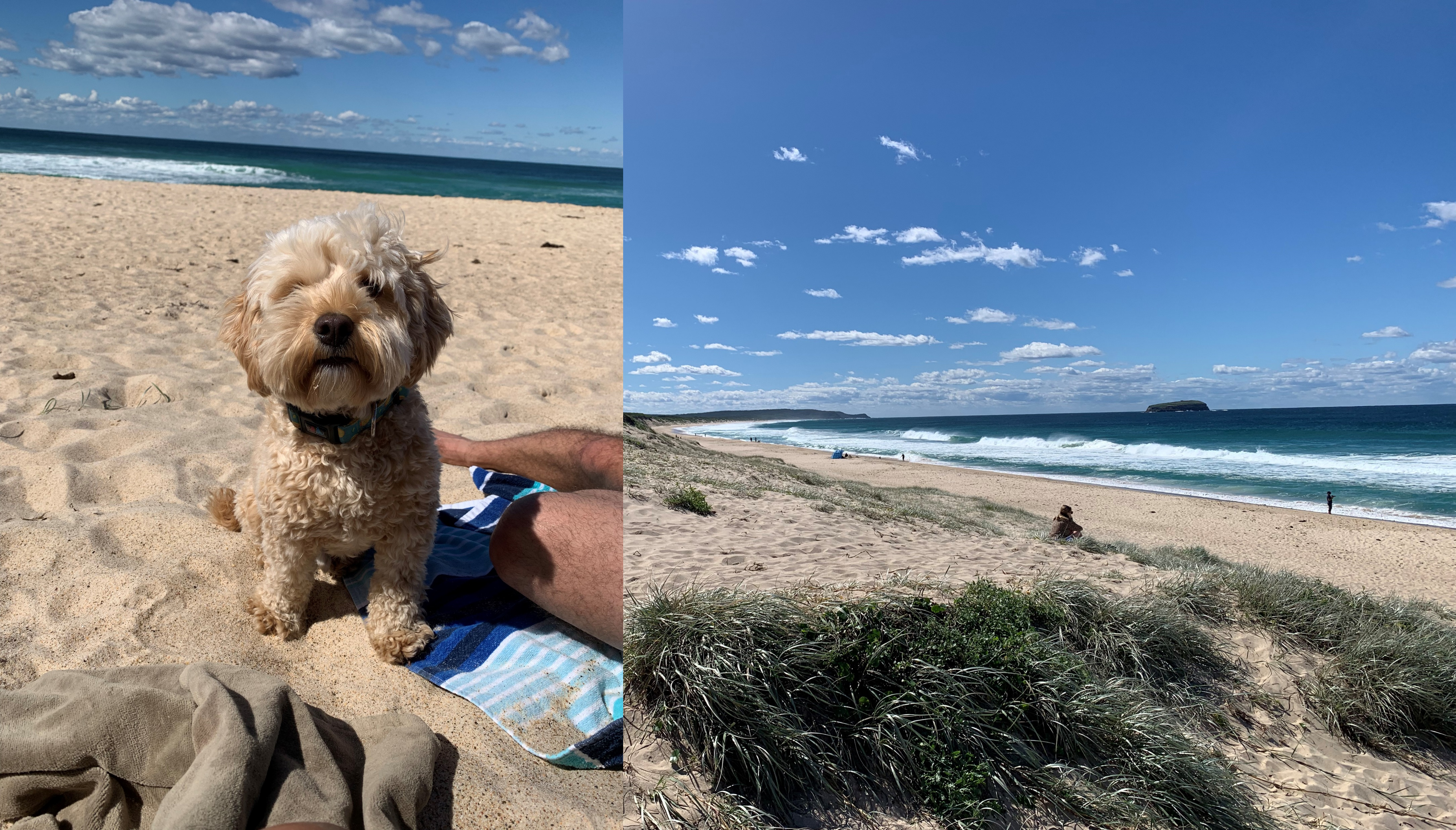 Hanging out at Budgewoi Beach