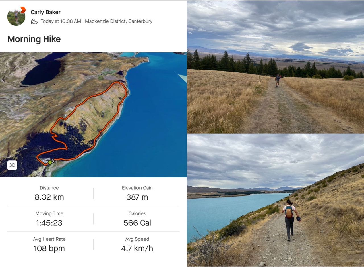 8 km loop of Mt John, Lake Tekapo