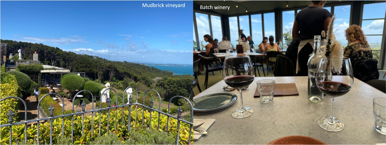 Waiheke island wineries